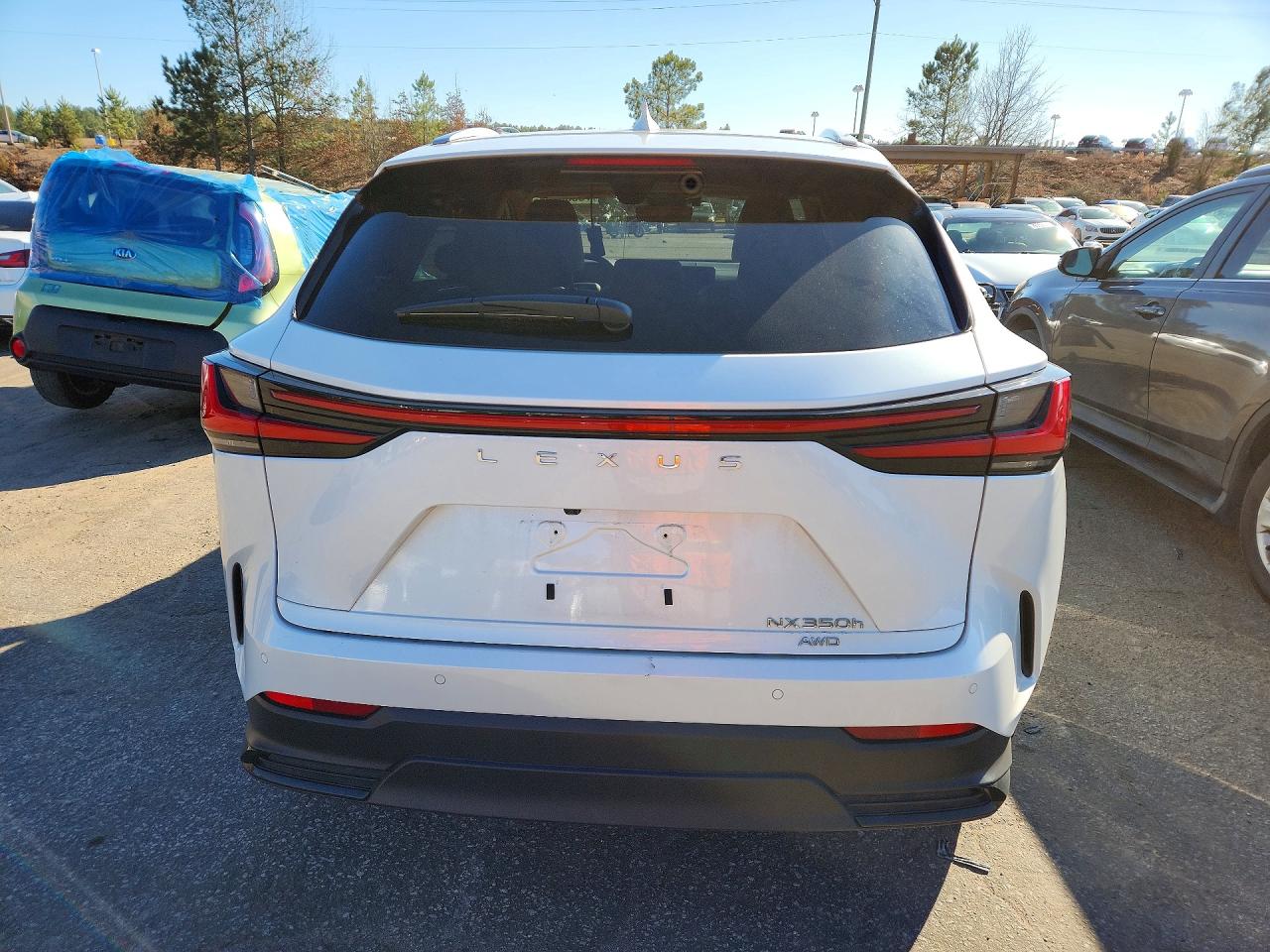 2025 LEXUS NX 350H BASE photo 6