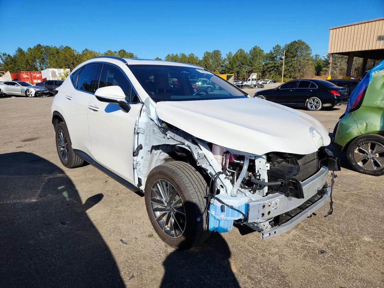 2025 LEXUS NX 350H BASE photo 4