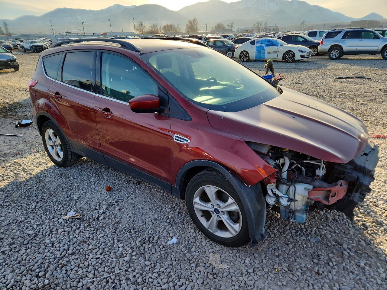 2014 FORD ESCAPE SE photo 10