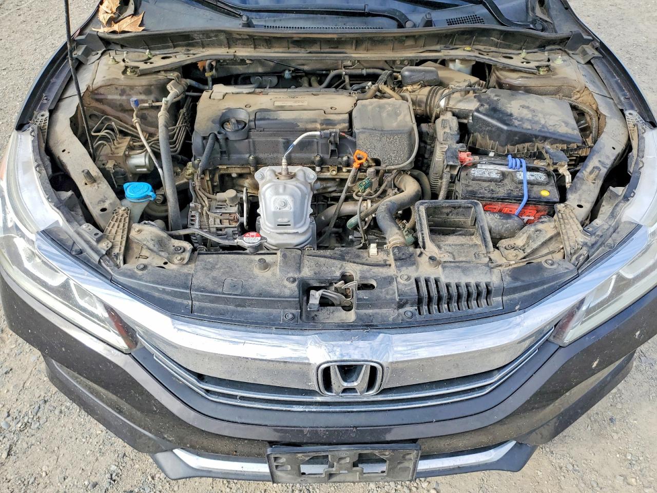 2017 HONDA ACCORD SPORT photo 11