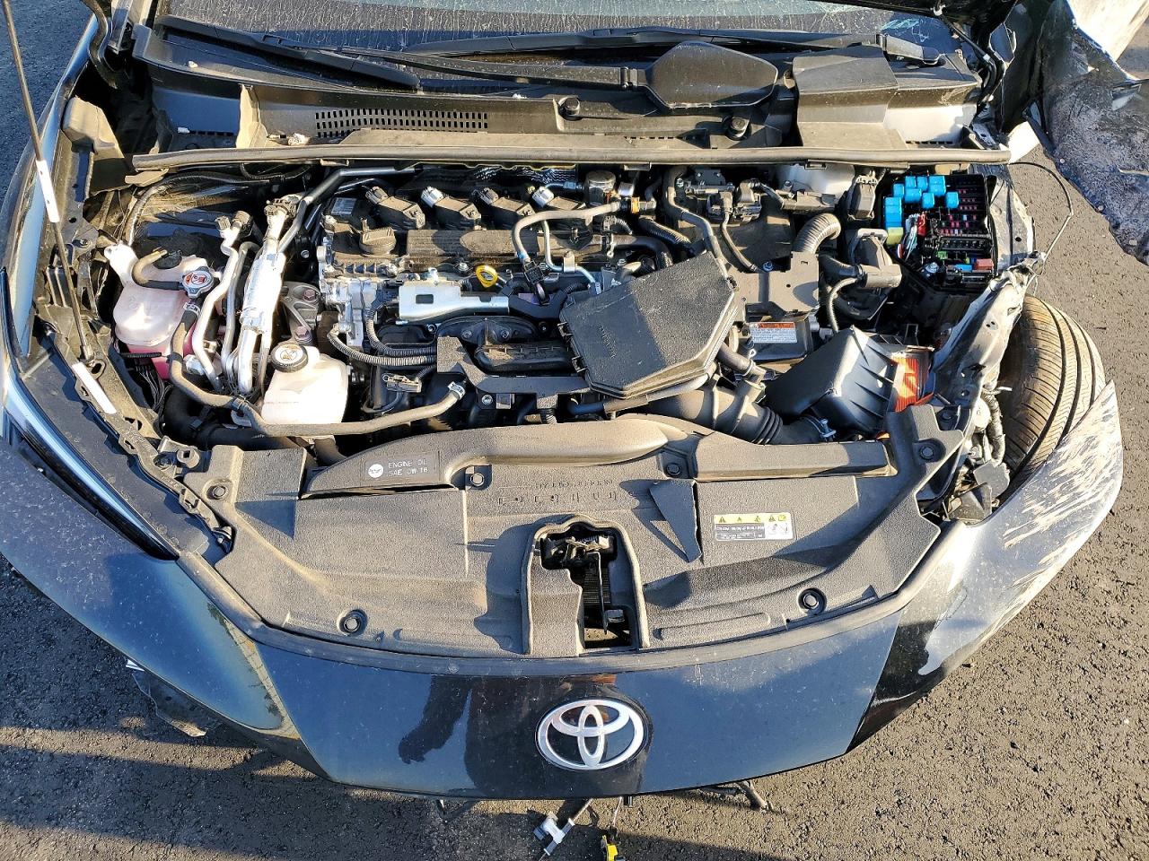 2025 TOYOTA PRIUS photo 31