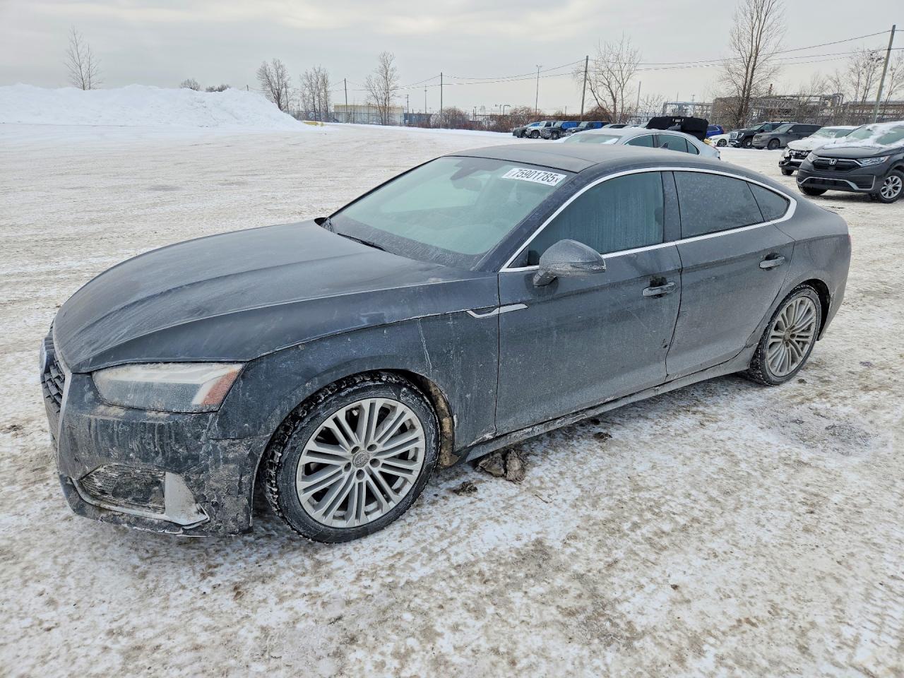 2022 AUDI A5
