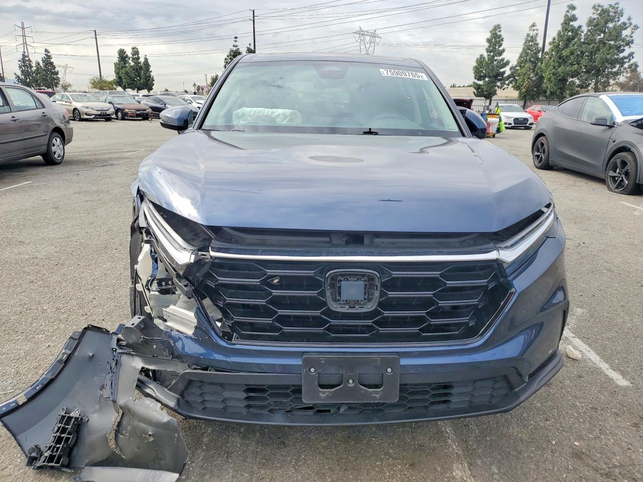 2025 HONDA CR-V EX photo 5