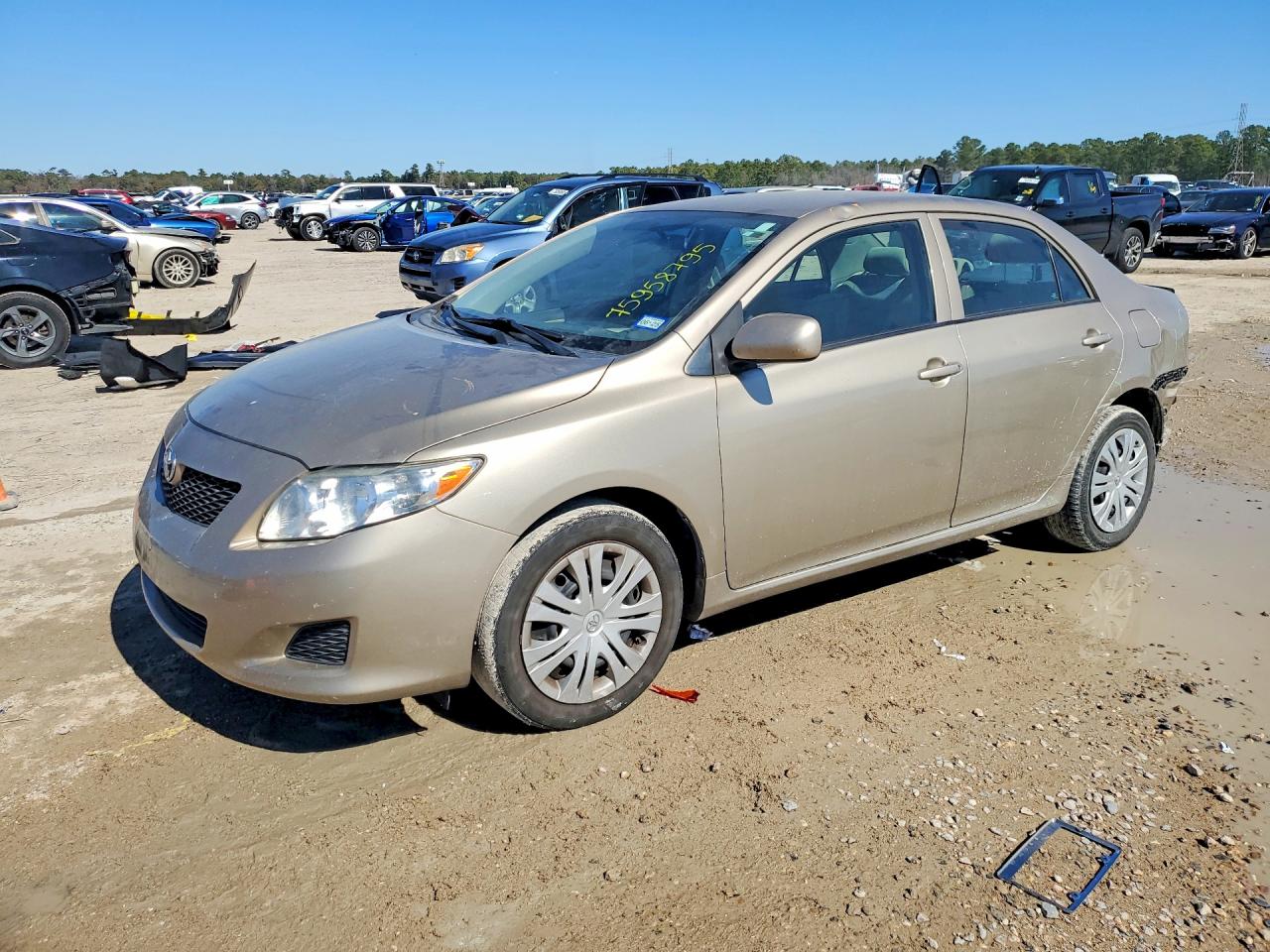 2010 TOYOTA COROLLA