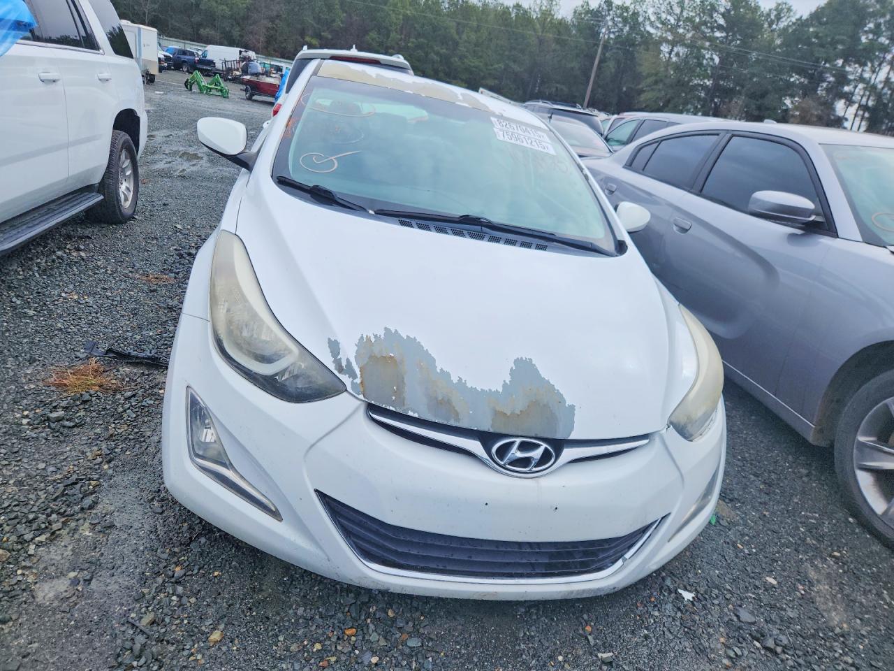 2014 HYUNDAI ELANTRA SE photo 13
