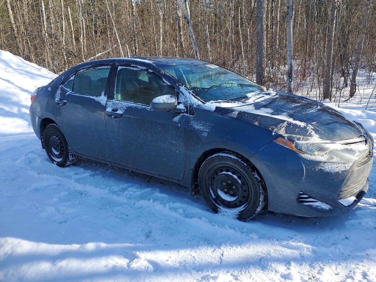 2019 TOYOTA COROLLA L photo 7