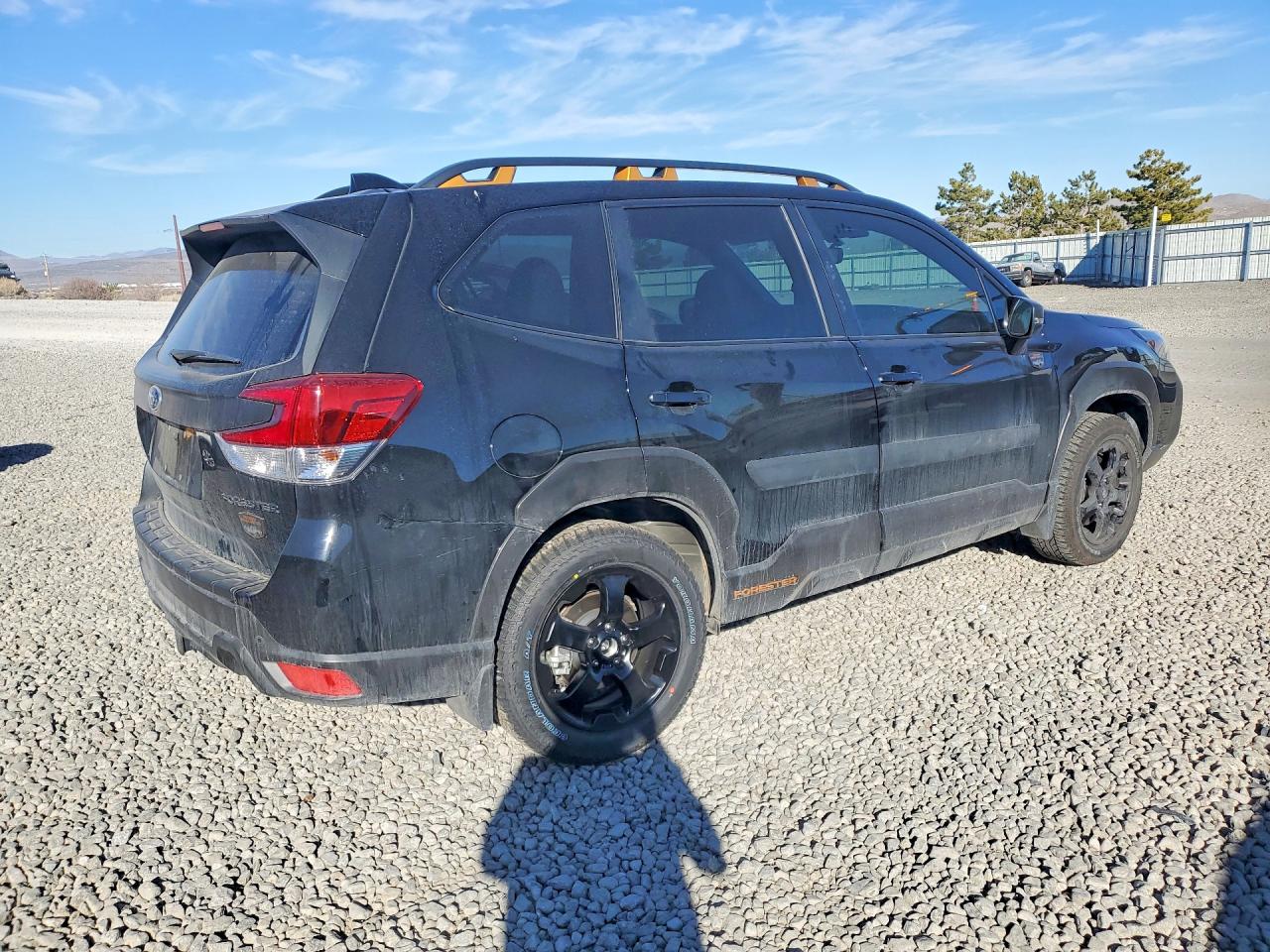 2024 SUBARU FORESTER WILDERNESS photo 3