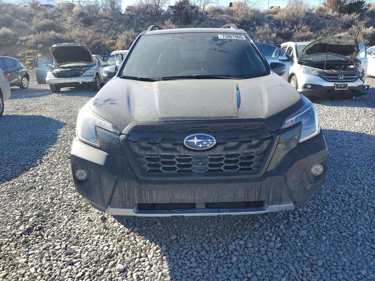 2024 SUBARU FORESTER WILDERNESS photo 5