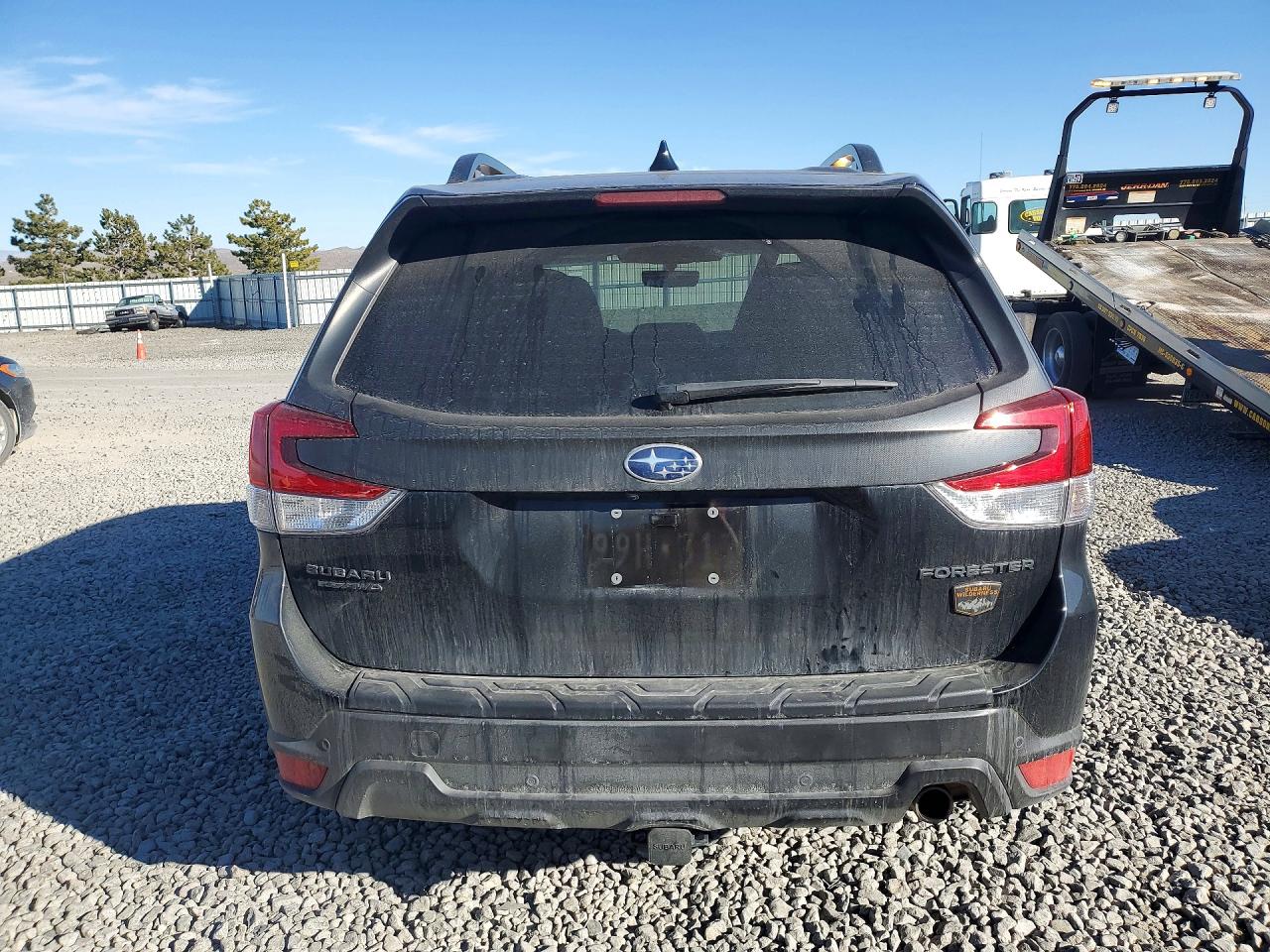 2024 SUBARU FORESTER WILDERNESS photo 6