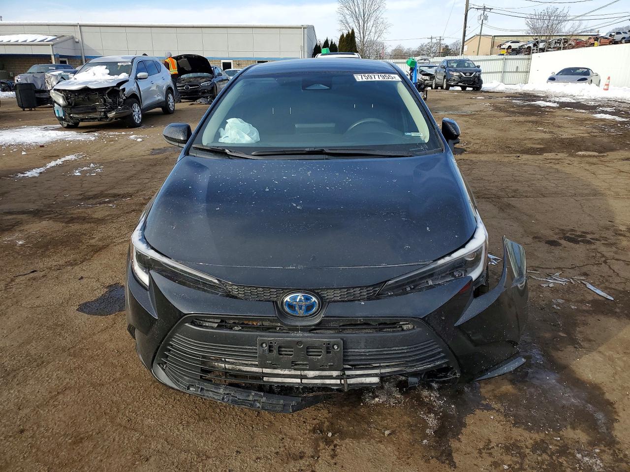 2024 TOYOTA COROLLA photo 5