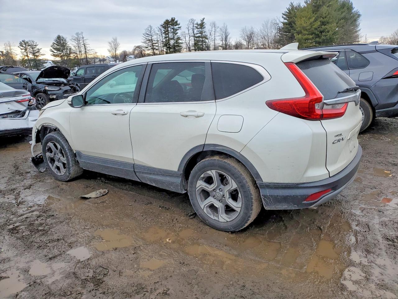 2017 HONDA CR-V EXL photo 4