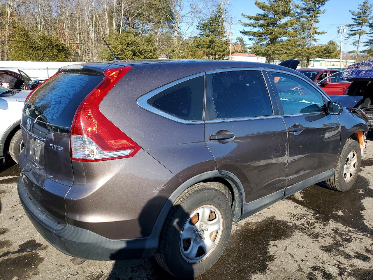 2014 HONDA CR-V LX photo 3