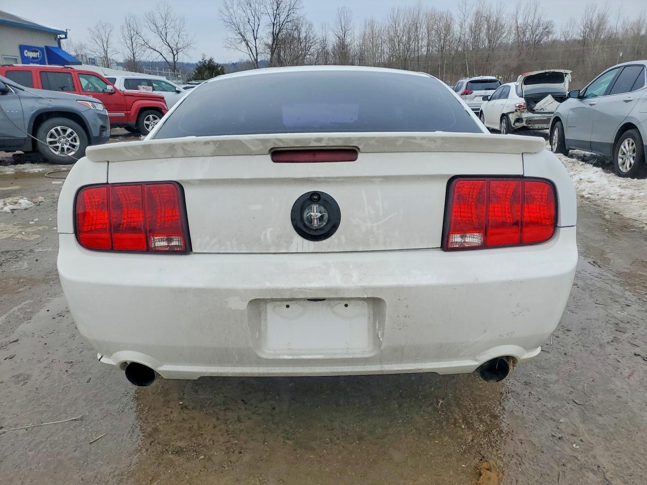 2008 FORD MUSTANG photo 6