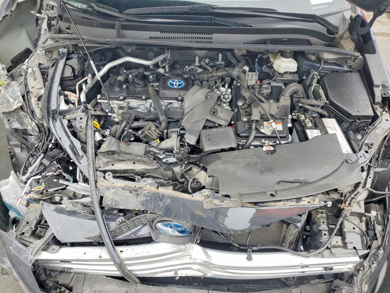 2024 TOYOTA COROLLA LE photo 11