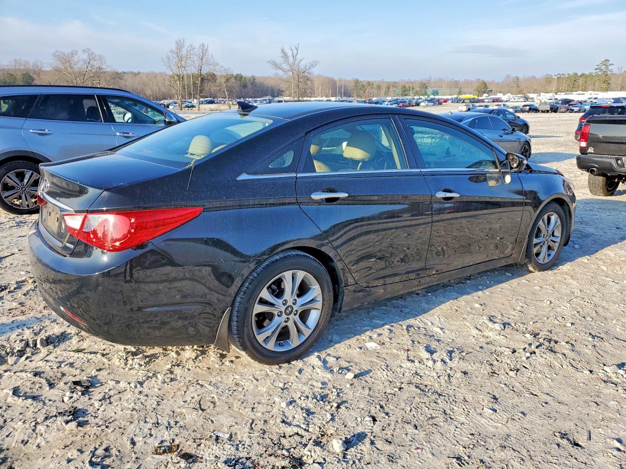 2013 HYUNDAI SONATA photo 3
