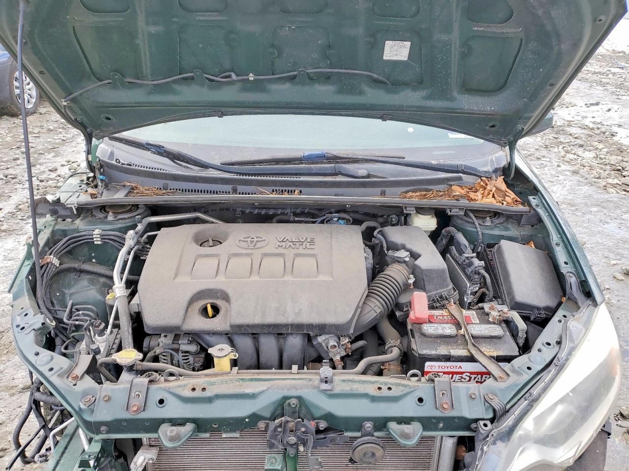 2014 TOYOTA COROLLA LE ECO PLUS photo 11