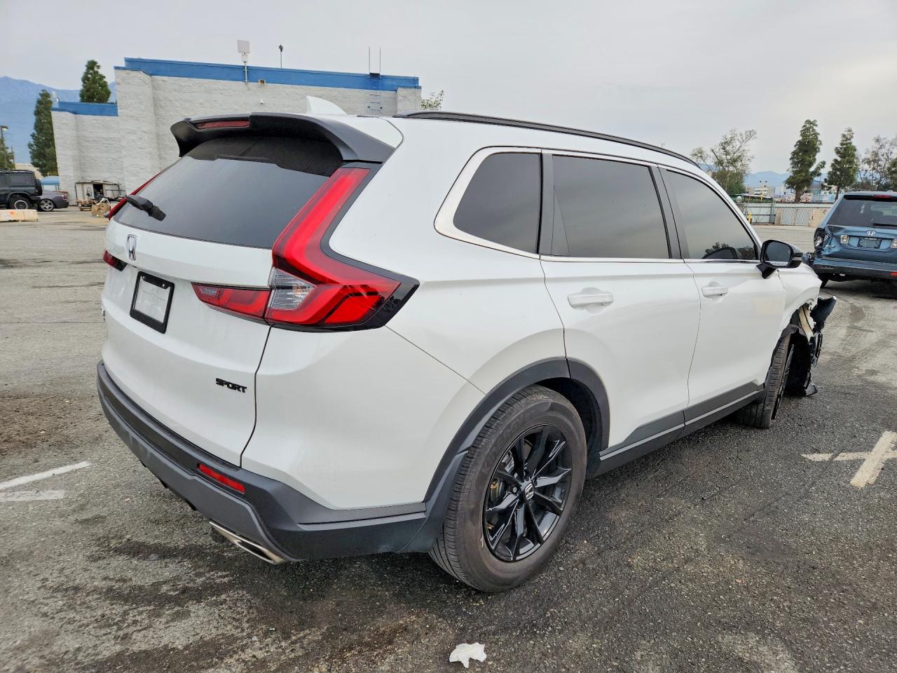 2025 HONDA CR-V SPORT photo 5