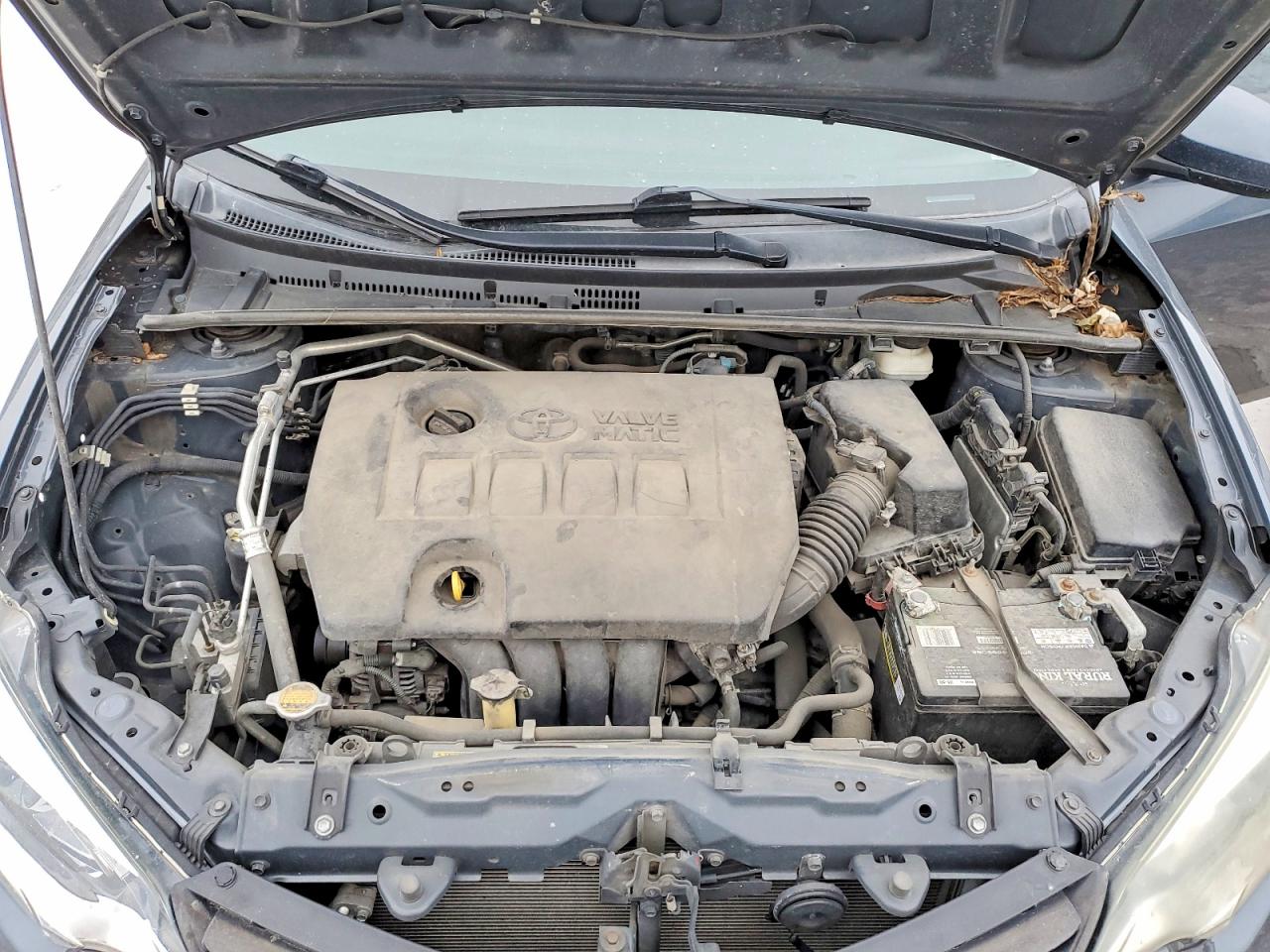 2014 TOYOTA COROLLA ECO photo 11