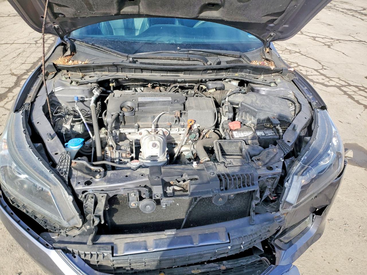 2014 HONDA ACCORD EXL photo 11