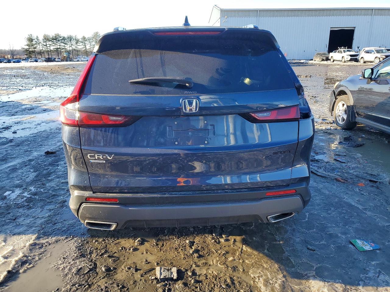 2025 HONDA CR-V SPORT photo 6