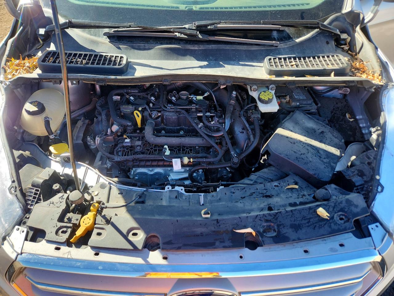 2019 FORD ESCAPE SE photo 41
