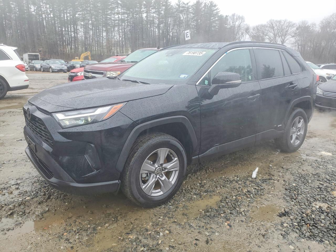 2025 TOYOTA RAV4