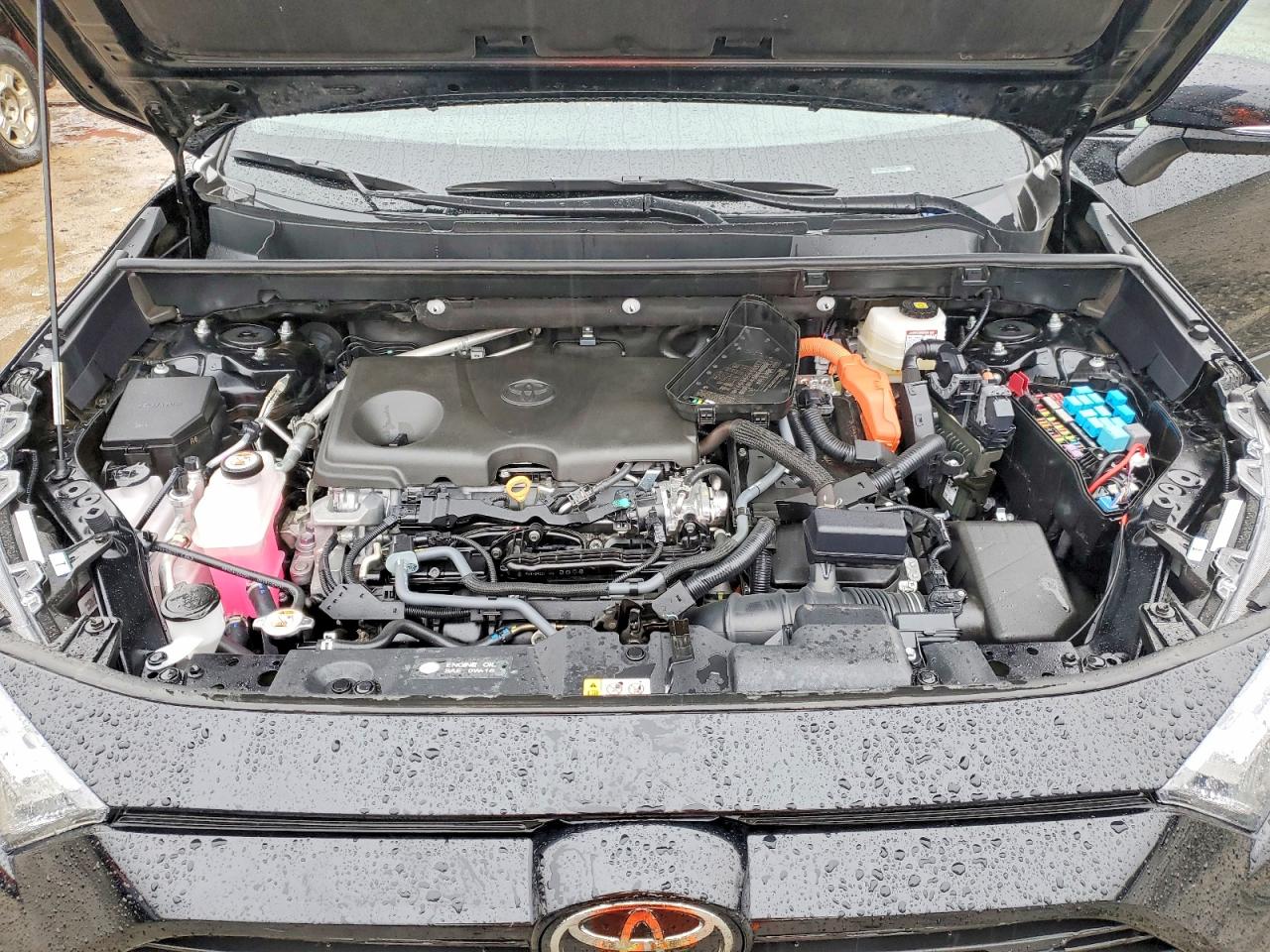 2025 TOYOTA RAV4 XLE photo 34