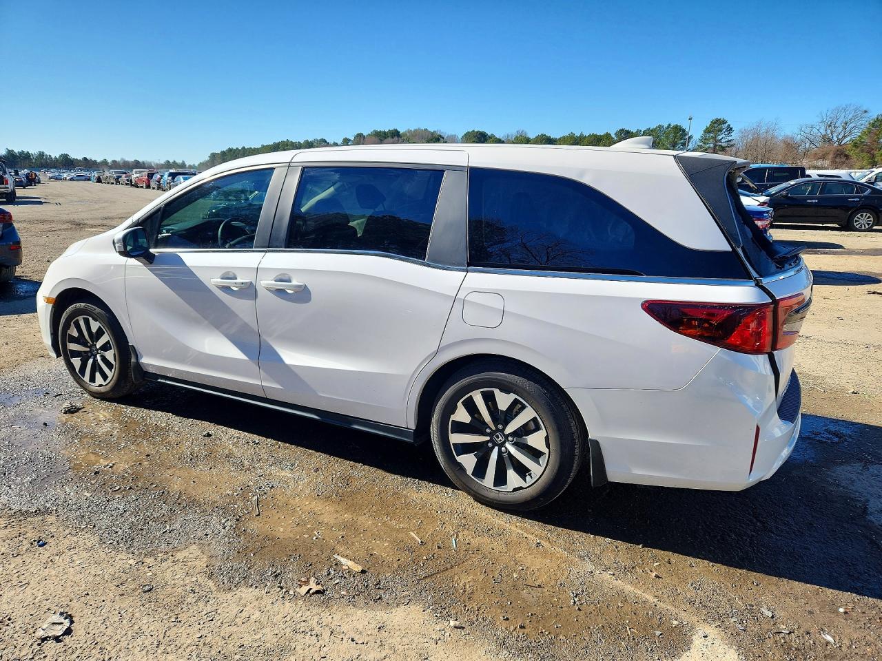 2025 HONDA ODYSSEY EXL photo 4