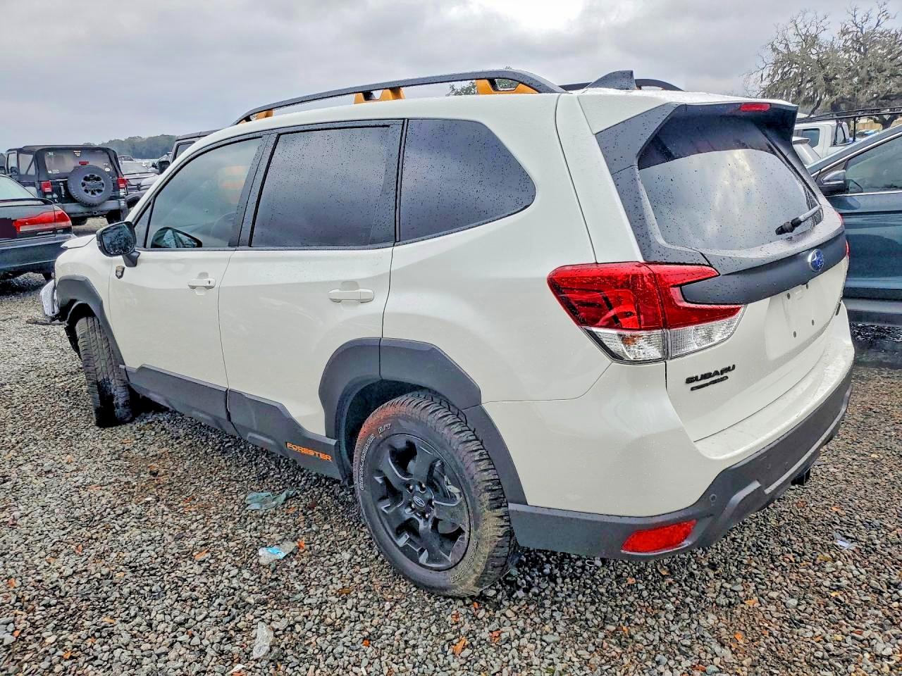 2025 SUBARU FORESTER WILDERNESS photo 3