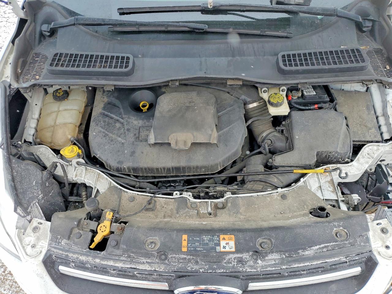 2014 FORD ESCAPE SE photo 12