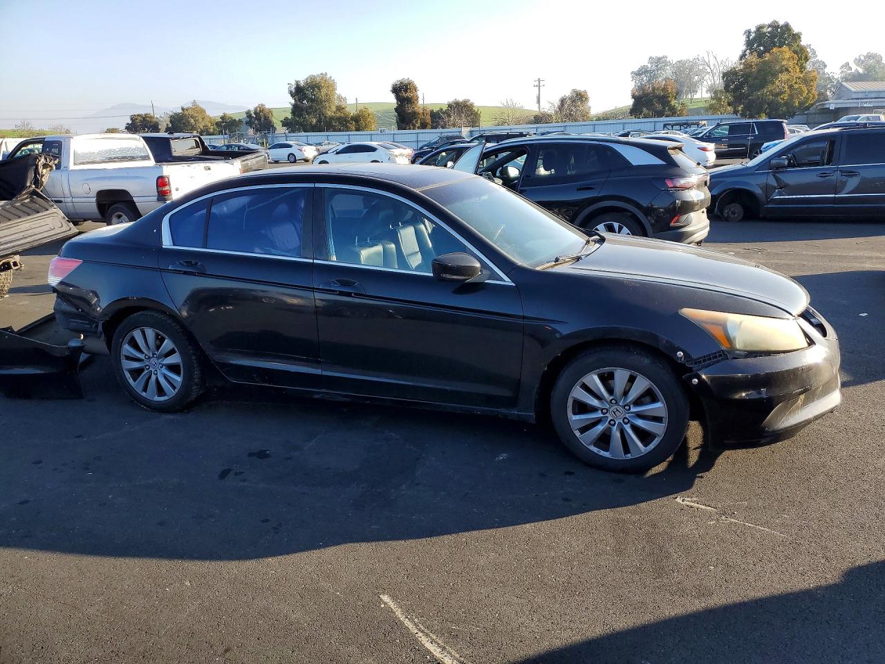 2011 HONDA ACCORD EXL photo 7