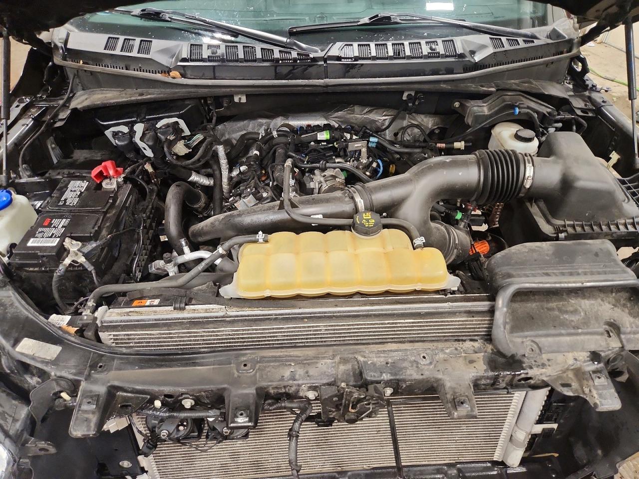2020 FORD F150 SUPERCREW photo 21