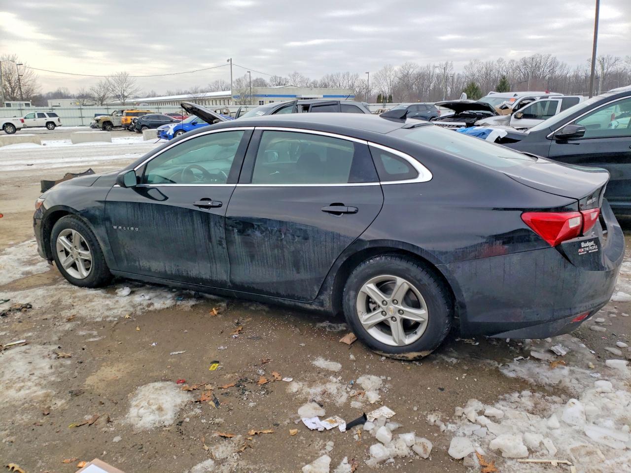 2023 CHEVROLET MALIBU LT photo 4