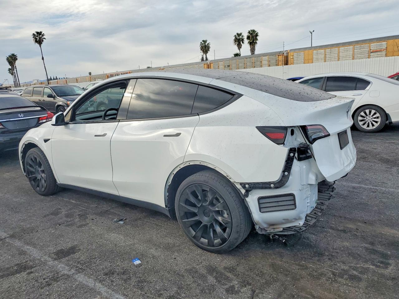2021 TESLA MODEL Y photo 3
