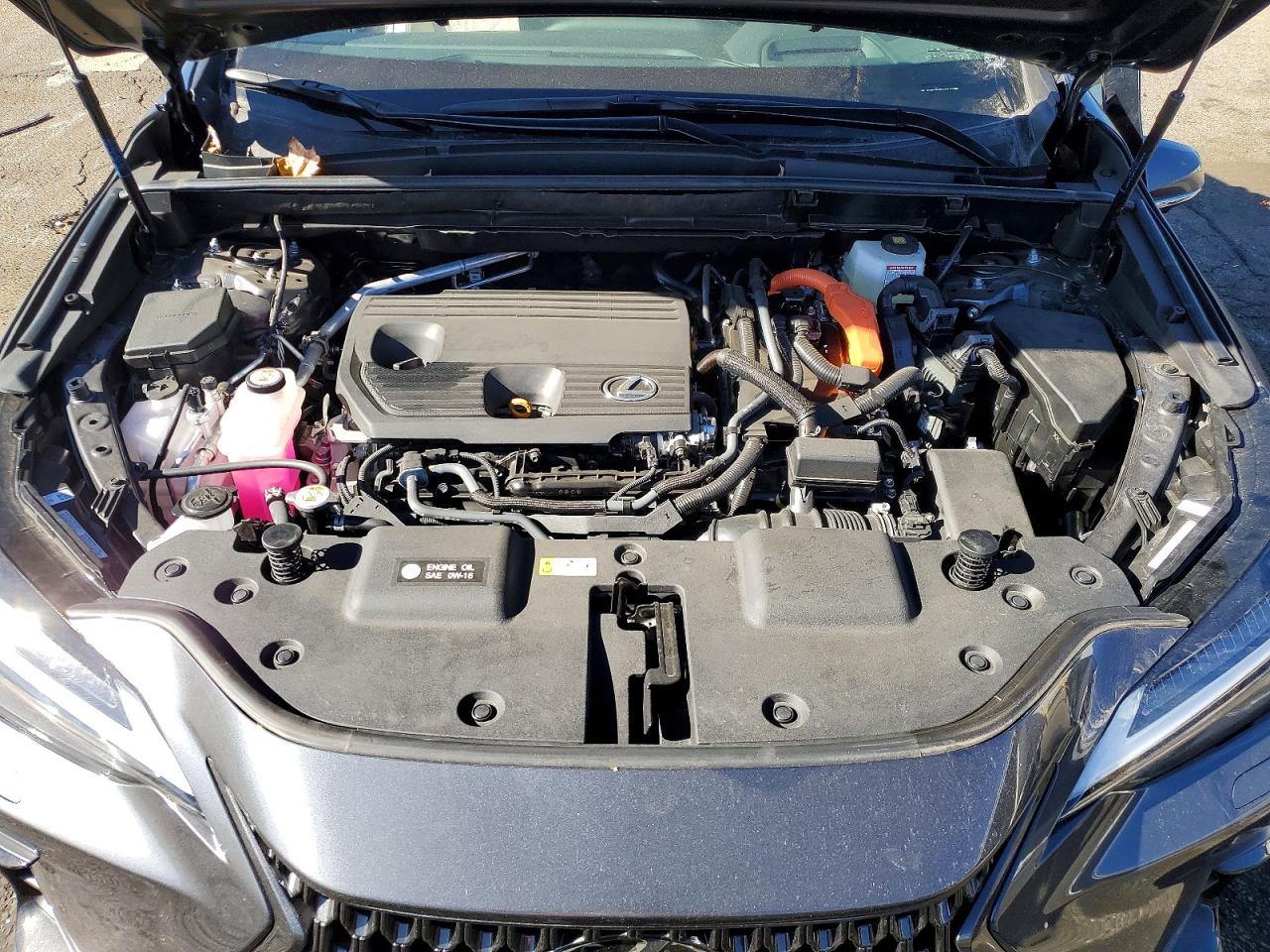 2025 LEXUS NX 350H BASE photo 11