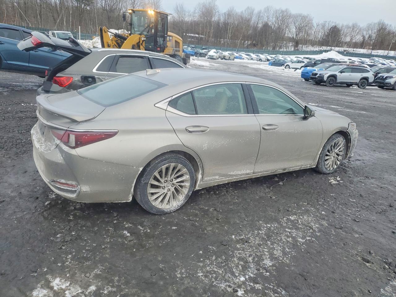 2020 LEXUS ES 300H LUXURY photo 3
