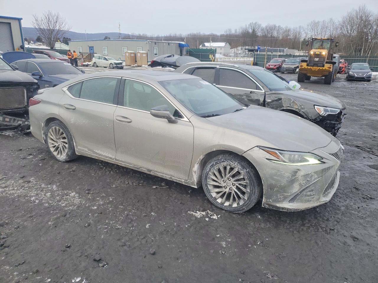 2020 LEXUS ES 300H LUXURY photo 4