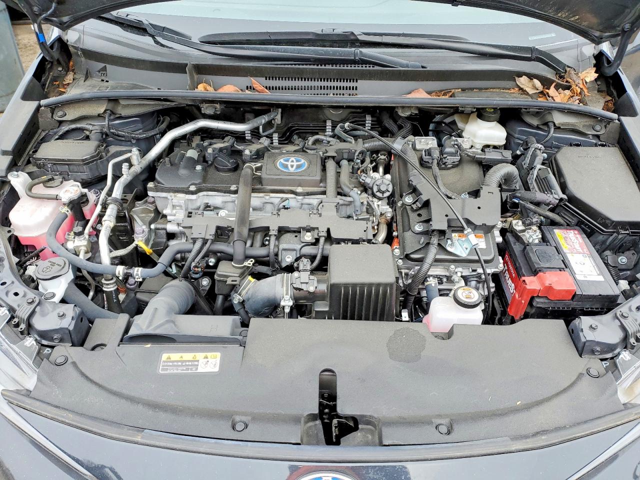 2023 TOYOTA COROLLA photo 11