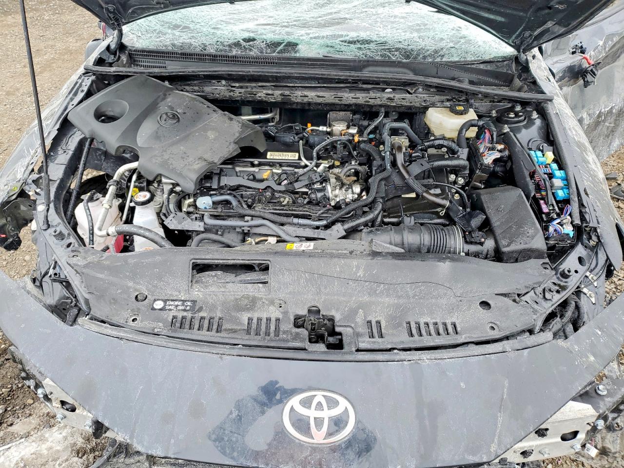 2025 TOYOTA CAMRY LE photo 31