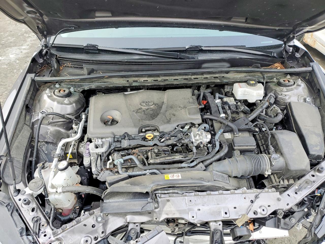 2023 TOYOTA CAMRY LE photo 11