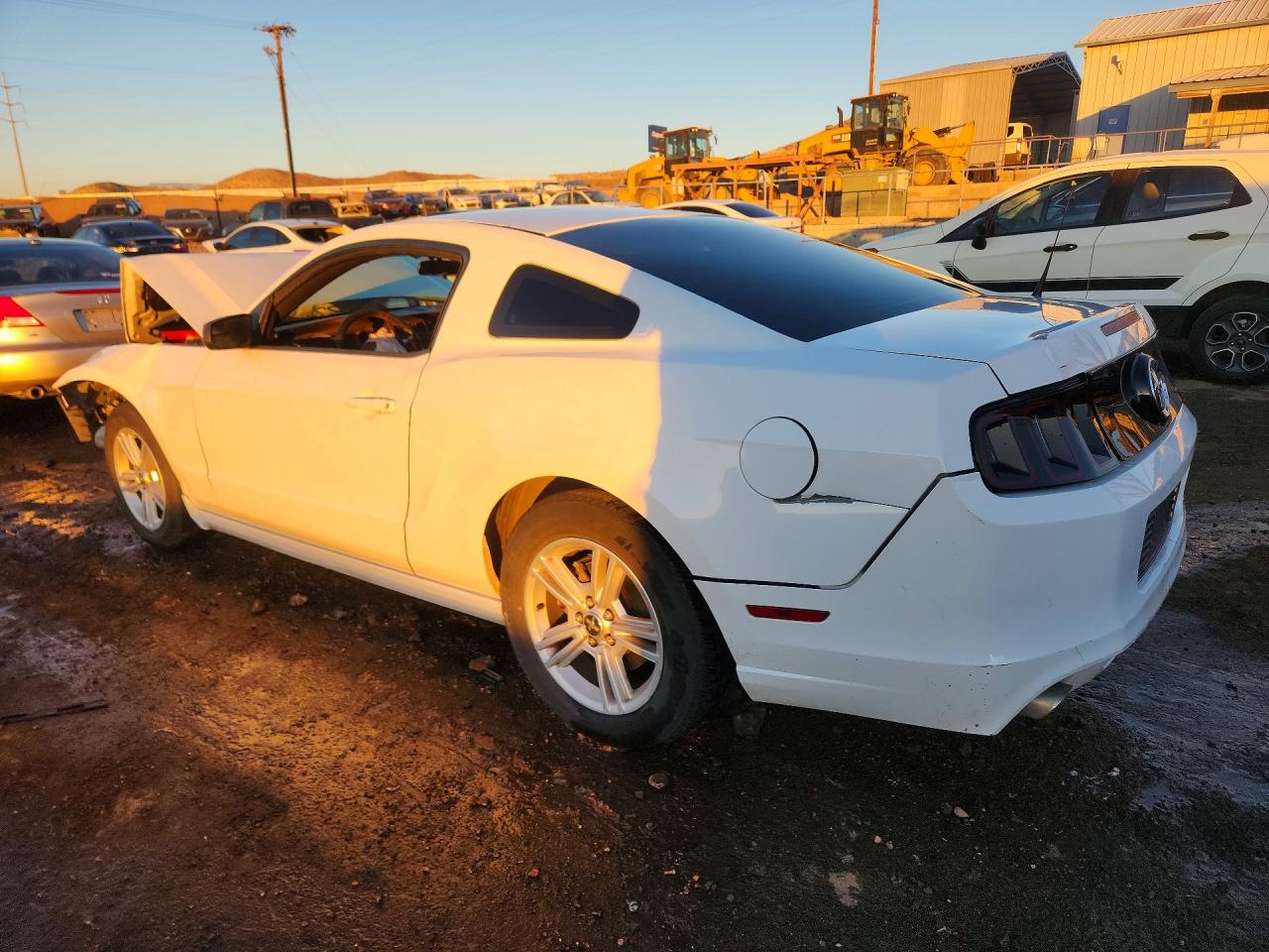 2014 FORD MUSTANG photo 2