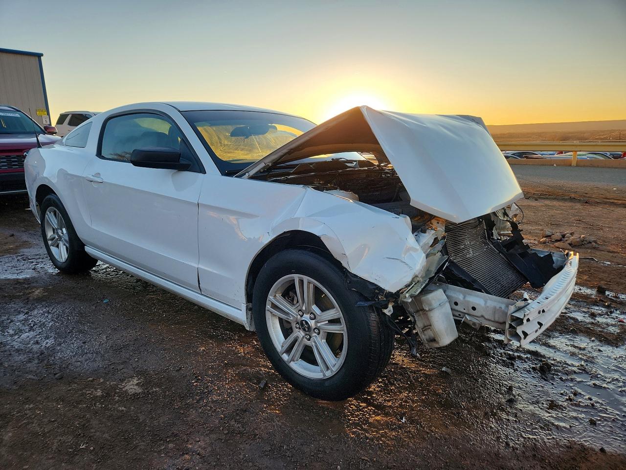 2014 FORD MUSTANG photo 4