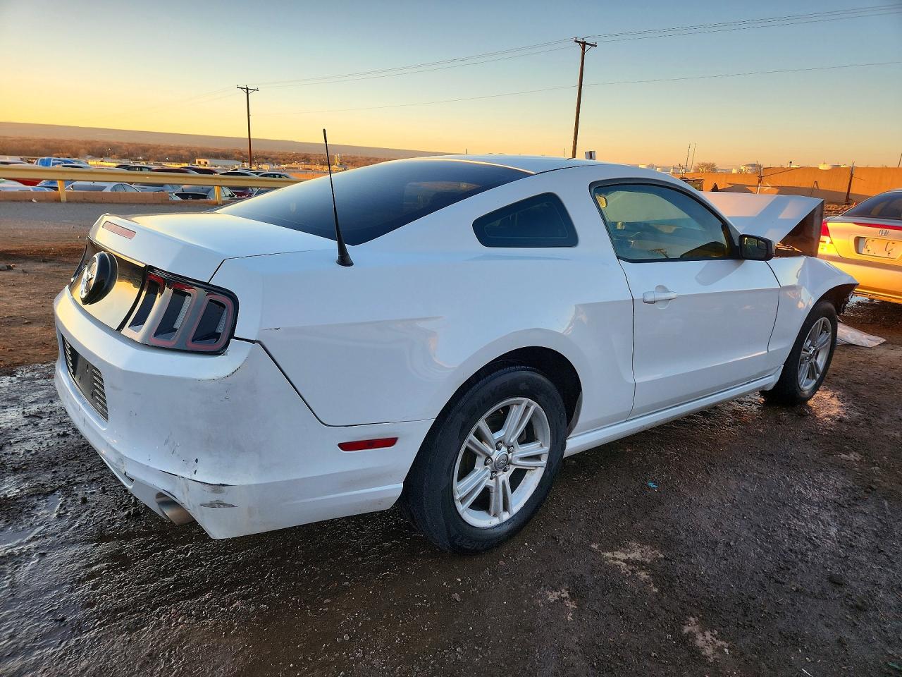 2014 FORD MUSTANG photo 3