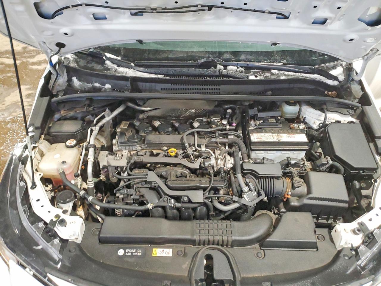 2019 TOYOTA COROLLA SE photo 11