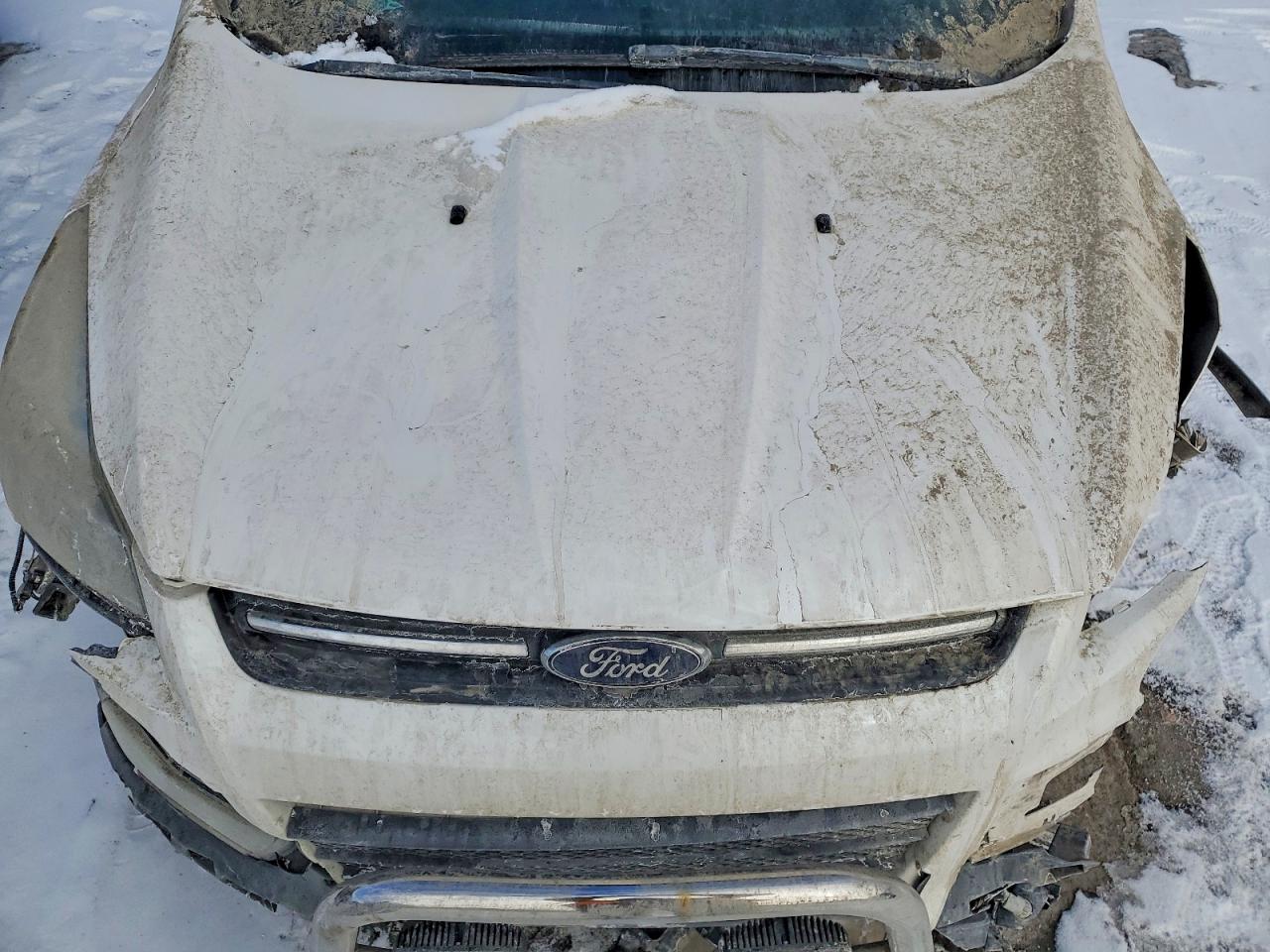 2015 FORD ESCAPE SE photo 12