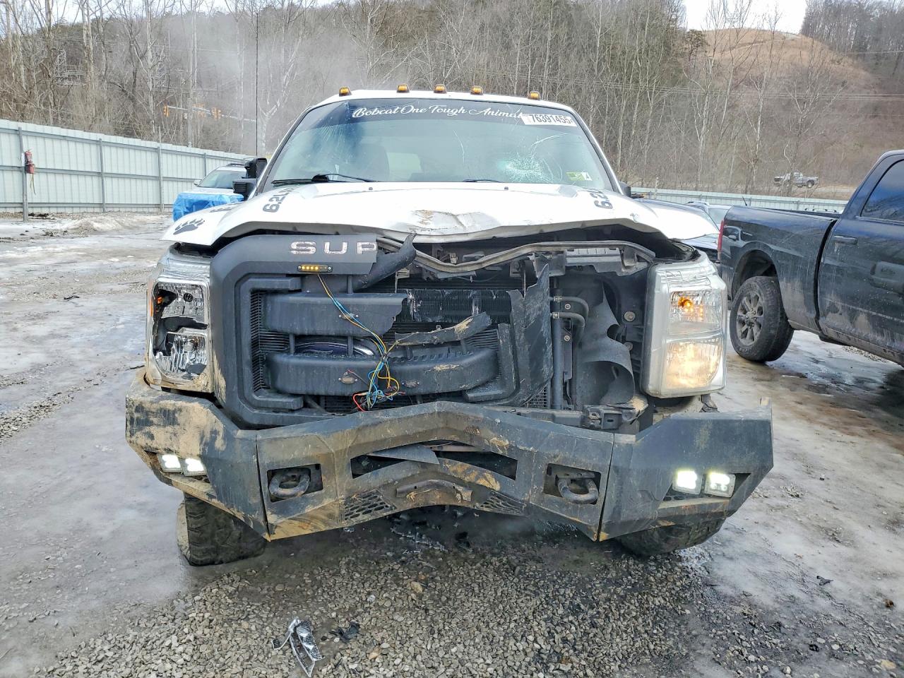 2015 FORD F250 SUPER DUTY photo 13