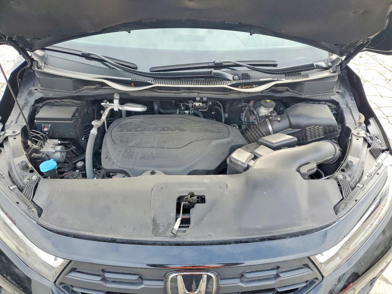 2025 HONDA ODYSSEY EXL photo 23