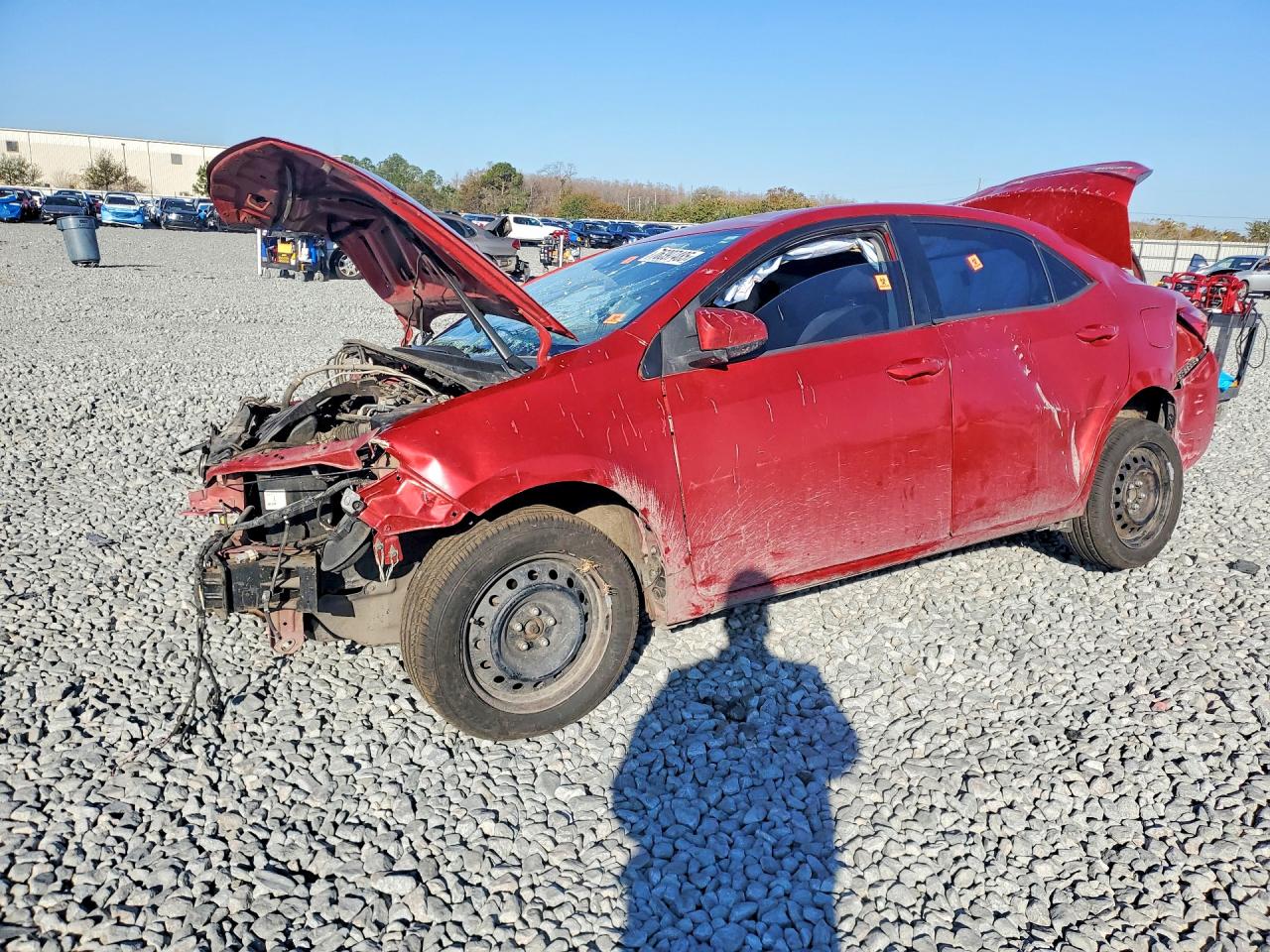 2019 TOYOTA COROLLA