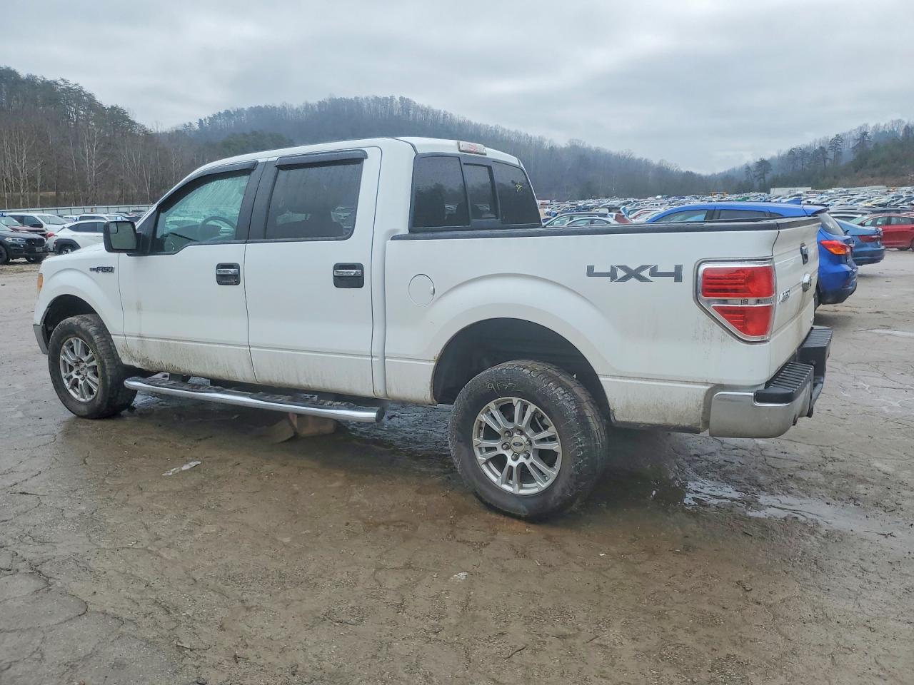 2013 FORD F150 SUPERCREW photo 2