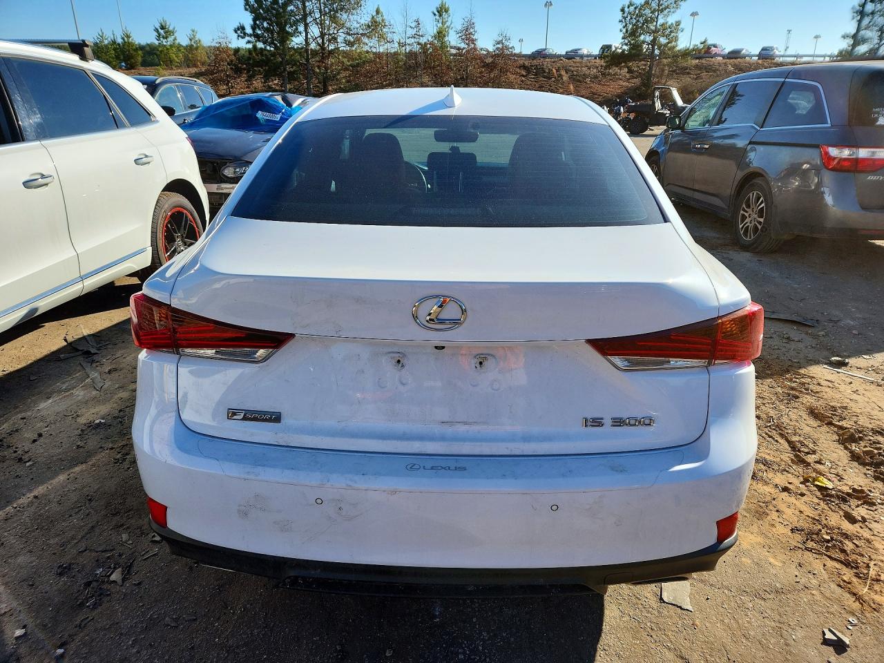 2019 LEXUS IS photo 6